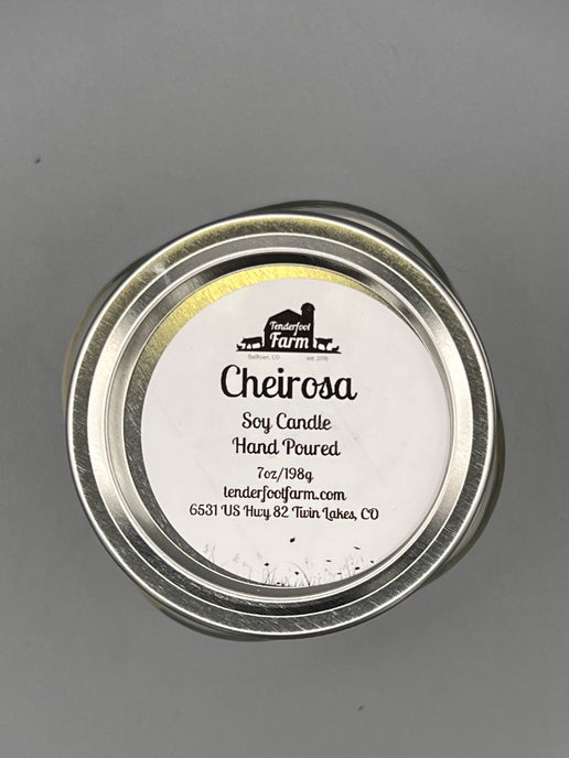 Cheirosa Candle